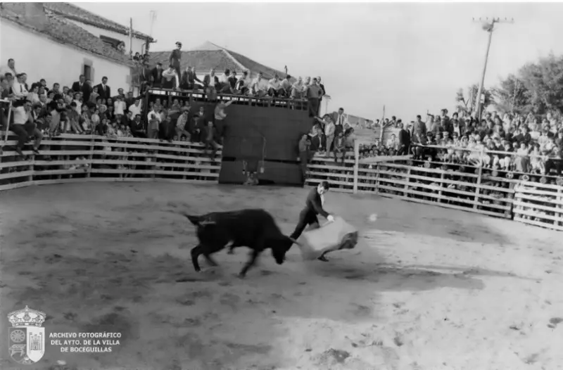 Toros en Boceguillas